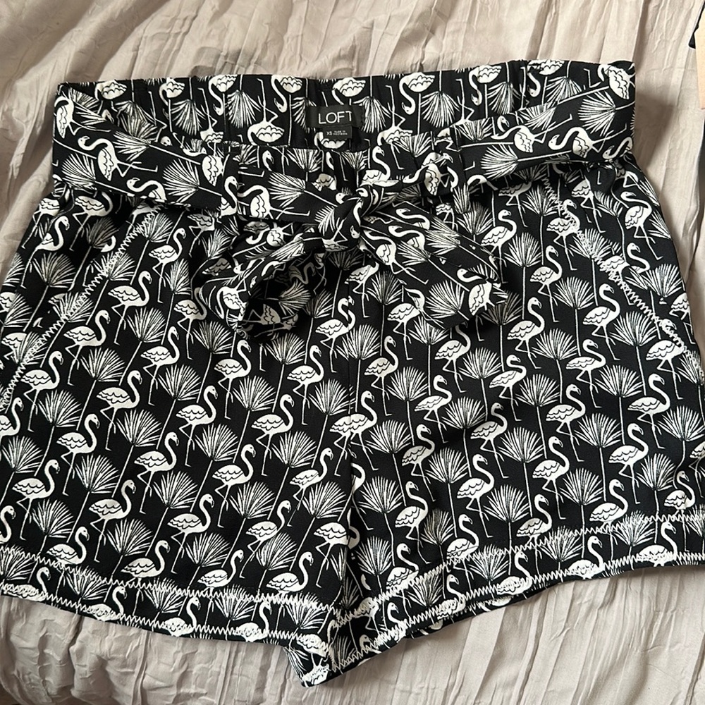 Dressy Shorts from Loft Sz XS